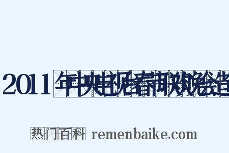 2011年中央电视台春节联欢晚会造句是什么意思的图片